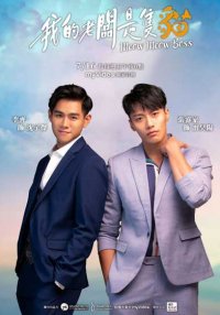 Мой босс — кот