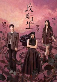 О любви | Цикада (2026)